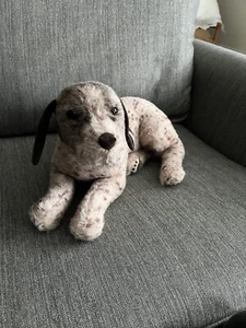 Most Companionable Steiff Kurzhaar Zeiger Hund - Bild 1 von 10