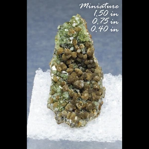 LUDLAMITE / SIDERITE BRAZIL MINERALS SPECIMEN CRYSTALS-THN - Picture 1 of 2
