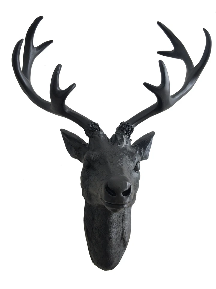 Hirschgeweih in schwarz - 10 Ender 61x51 cm - Hirschkopf Wand Deko Jagd Geweih - Bild 1 von 1