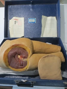 Nasco Life Form LF961 Intramuscular Injection Simulator - Picture 1 of 10