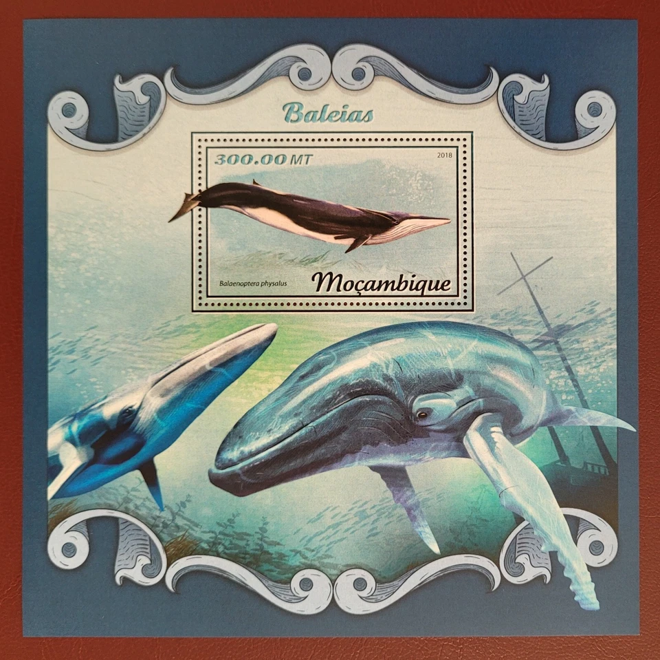 Mozambique 2018 / Marine Life - Whales  / 1v ms - Image 1 of 1