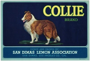 ORIGINAL ZITRONENKISTE ETIKETT COLLIE HUND SAN DIMAS 30ER JAHRE VINTAGE WERBUNG - Bild 1 von 1