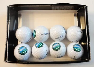 8 Pinnacle Exception Golf Ball Eastward Ho! 1922 CC Golf Course Logo Cape Cod MA - Picture 1 of 6