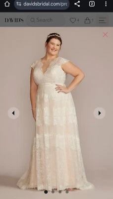 Melissa Sweet!! High Neck Cap Sleeve Lace A-Line Wedding Gown (Size 22)  - Image 1 of 4