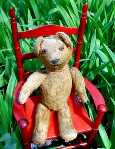 Antique 11" Mohair  Teddy Bear Squeaker- No ids, English or Germany? - Picture 1 of 6