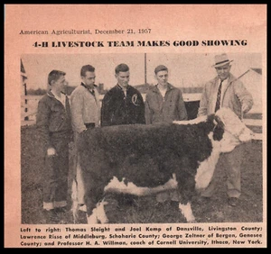 1957 Original Print 4-H Lifestock Team   Utica Western New York - Picture 1 of 2