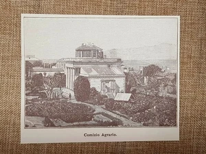 Reggio Calabria nell'800 Comizio Agrario - Picture 1 of 1