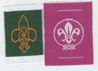 Boy Scout Badges MEMBERSHIP + World Membership  India