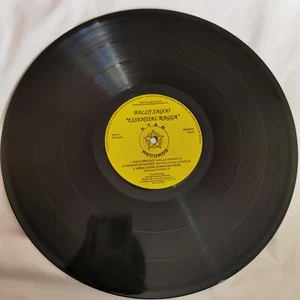 BALLY SAGOO ESSENTIALS RAGGA 12" VINYL RECORD LP PUNJABI BHANGRA RARE - Picture 1 of 6