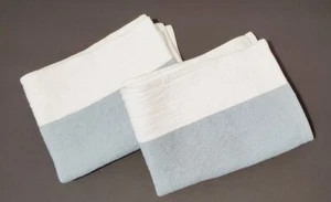 Juego de mantel individual de lona de algodón West Elm (2) en gris pizarra natural azul - Imagen 1 de 5