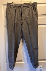 Isaia Gray Soft Brushed Wool Drawstring Jogger Gray Pants Size 52R - Picture 1 of 14
