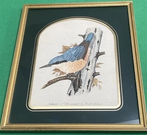 Stampa artistica vintage con cornice Nuthatch Bird di David Andrews 13”x11” decorazione country - Foto 1 di 12