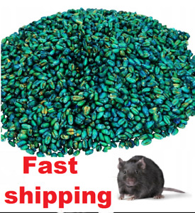 Rat Mouse Strong Killer 1- 4 Rodent Poison Grain 50g Bait Free Gloves Fast Shipp