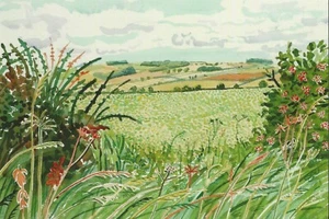 Postcard David Hockney "A Gap in the Hedgerow" 2004 MINT - Picture 1 of 1