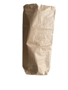 SACCHETTO CARTA AVANA 10 KG PZ 240 - Foto 1 di 1