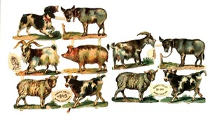 Farm animals paper scraps, from Tuck Gigantic Relief 849 - Picture 1 of 2