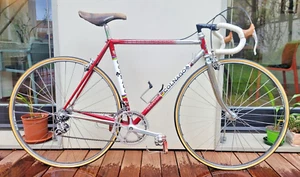 COLNAGO ESA MEXICO Official Racing Team italian steel road bicycle A. SARONNI - Picture 1 of 13