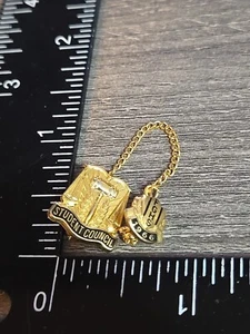 Vintage FGHS 1966 Student Council School Lapel Pin Gold Hat Jacket Bag M9 - Picture 1 of 2