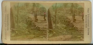 Foto estéreo puente puerta de peaje río sombra Canadá Muskoka Ontario c1890 - Imagen 1 de 1