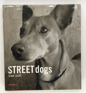 Street Dogs By Traer Scott. 1st Edition 2007 Merrell Publishing - Picture 1 of 12