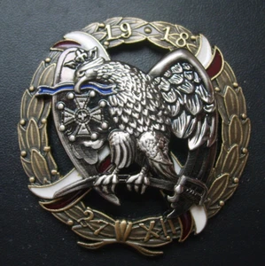 156 WW2 POLACO 15º REGIMIENTO POZNAN UHLAND INSIGNIA POLONIA RÉPLICA - Imagen 1 de 1