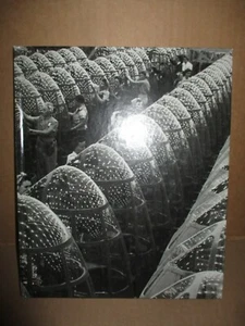 The Home Front: U.S.A. by Ronald H. Bailey and The Editors Of Time-Life Books - Picture 1 of 8