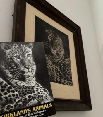 Erik Kirkland- Leopardess Original Photo EXHIBITED Leopard -Chester Zoo Painting - Image 1 of 4