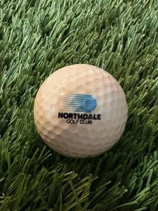 Northdale Golf Club Logo Golf Ball- Tampa Florida FL - Picture 1 of 1