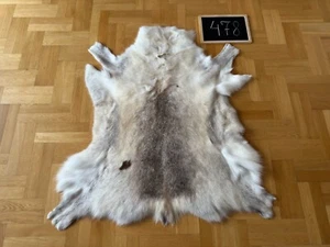 Rare Reindeer Hide 124x115 cm Exclusive Scandinavian Skin Rug Prime Quality #478 - Picture 1 of 4
