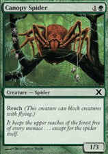 1x Canopy Spider - Foil MTG 10th Edition NM Magic Foil