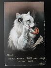 Ellam Cat Postcard HELLO, COME ROUND TOM HAS GONE TO THE CLUB c1908 Series 522