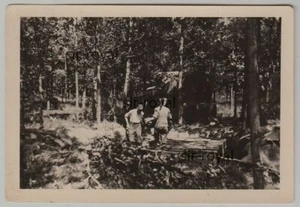 Munition stapeIn im Wald von Orel 1943 - Russland Orjol - Foto 2WK 10x7cm - Bild 1 von 2