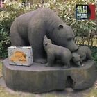 Various 40 Years Bear Family Records (CD)