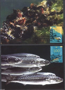 BULGARIA 2011  BLACK SEA  CLAM SHELLFISH FISH MAP BOAT  2 MAXI CARDS - Picture 1 of 2