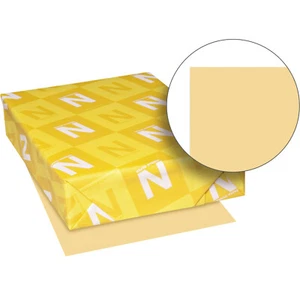 Exact Index Cardstock, 8,5 Zoll x 11 Zoll, 110 Pfund (199 g/m²), Poliert, 250 Blatt pro Packung - Bild 1 von 4