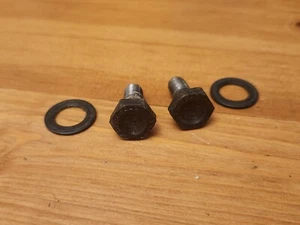 Campagnolo Patent Crank Arm Bolts With Washers - Picture 1 of 3