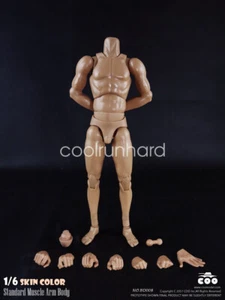 COOMODEL BD008 COO Standard Muscle Arm High Body(27cm) Skin color 1/6 Gift - Picture 1 of 1