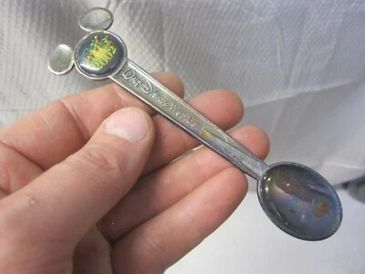 Cuchara plateada Walt Disney World 2002 "Ears to You" - Hecha en Holanda Foto 1 de 4