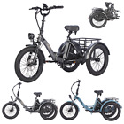 Fafrees F20 Mate 3-Wheel Electric Bike 20-Inch Electric Tricycle Folding Wheel E-Bikes