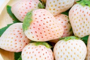 100 WHITE SOUL STRAWBERRY Fragaria Vesca Fruit Flower Berry Seeds *Comb S/H - Picture 1 of 15