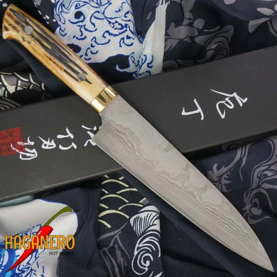 Gyuto Japanese kitchen knife Takeshi Saji VG10, bull bone HA4608 21cm - Bild 1 von 3