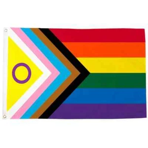 Progress Pride Intersex Flag Large Inclusive Rainbow Flag 150 x 90cm - Picture 1 of 2