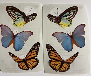 Lote de 2 módulos 2009 Mrs Grossman's Butterflies Photoessence 6 pegatinas - Imagen 1 de 4