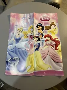 DISNEY PRINCESS - FIREWORKS POSTER 18x22 - Picture 1 of 8