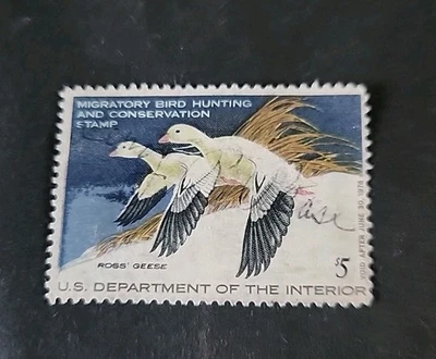 Rjkstamps 1977 US S# RW44 $5.00 Federal Duck Stamp - Pair of Ross' Geese USED  - Image 1 of 2