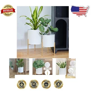 Large White & Gold Decorative Planter Pots with Drainage - Indoor/Outdoor Use - Picture 1 of 11