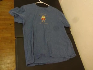 eddie bauer tshirt gebraucht microsoft nexus innovations large l super spug blau - Bild 1 von 3