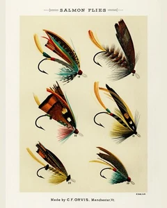 Druck oder Leinwand - Lachsfliegen - Mary Orvis Marbury - Bild 1 von 1