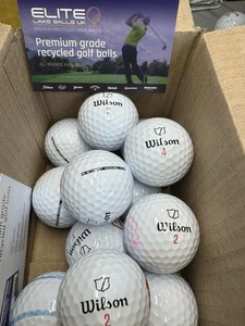 12 WILSON TRIAD Pearl/a Golf Balls π₯FREE POSTAGE π₯π₯ππ₯ - Picture 1 of 1