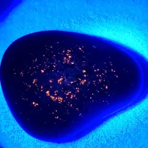 YOOPERLITE PIETRA FLUORESCENTE SODALITE ROCCIA DA LAGO BAGLIORE SUPERIORE SOTTO UV - Foto 1 di 4